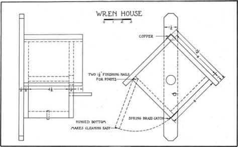 House Wren Bird Dimensions (Görüntüler ile)