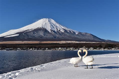 About Yamanakako | Highlights | Visit Lake Yamanaka Area -Official ...