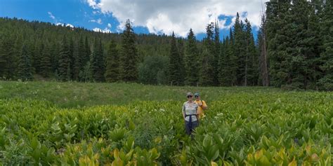 Best Crested Butte Hiking Trails in Colorado Rockies