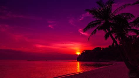 Tropical Sunset 4K Wallpapers - Top Free Tropical Sunset 4K Backgrounds ...