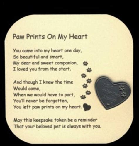 Pawprints on My Heart Card & Token Set - Etsy | Pet sympathy gifts, Pet sympathy, Dog quotes