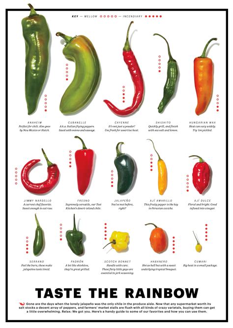 Chile Chart | Stuffed peppers, Stuffed hot peppers, Types of chili peppers