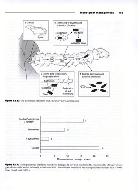 Ecology of Insects: Concepts and Applications | NHBS Academic ...