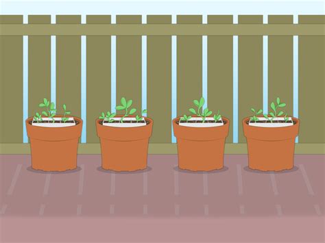 3 Ways to Propagate Azaleas - wikiHow