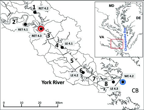 Map of the York River Estuary (YRE) and the Chesapeake Bay. Numbered... | Download Scientific ...