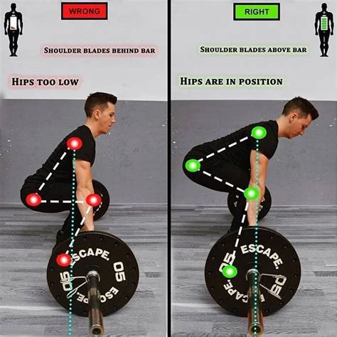 how to deadlift correctly #deadliftworkoutforbeginners | Workout challenge, Fitness training ...