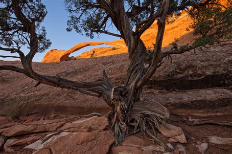 Landscape Arch Sunrise