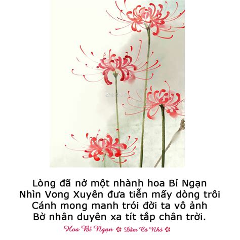 Lòng đã nở một nhành hoa Bỉ Ngạn Nhìn Vong Xuyên đưa tiễn mấy dòng trôi ...