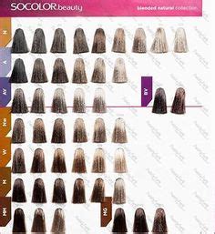 17 Best Matrix hair color chart ideas | matrix hair color chart, matrix hair color, matrix hair