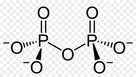 Lewis Structure For The Phosphate Ion Po43 − - Free Transparent PNG Clipart Images Download