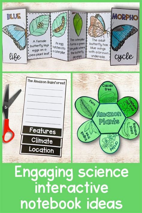 Interactive science notebook and lapbook ideas for home or school ...