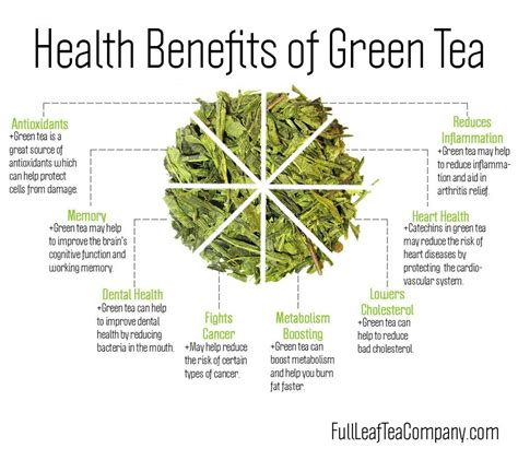 What is Green tea | Full Leaf Tea Company