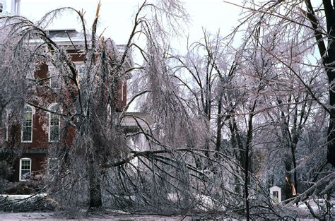 Recalling the historic ice storm of January 1998 | News | Bates College