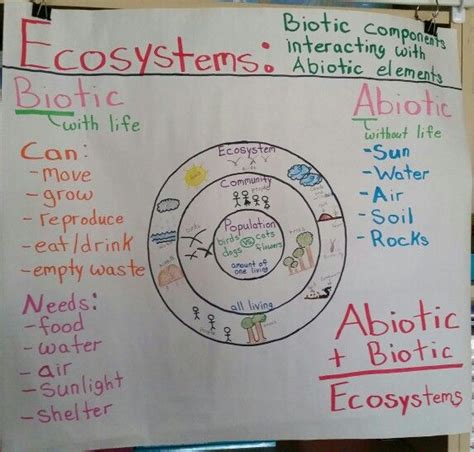 Biotic And Abiotic Factors Worksheet