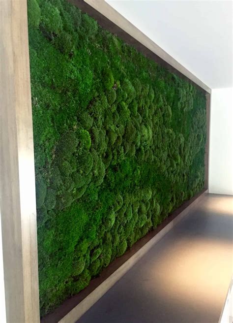 Moss wall art - Plantscapers | Moss wall, Moss wall art, Vertical ...