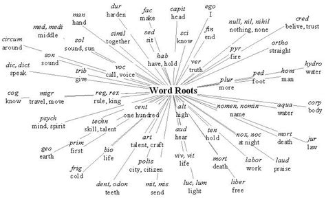 Meaning from roots | Root words, English vocabulary words, Aesthetic words