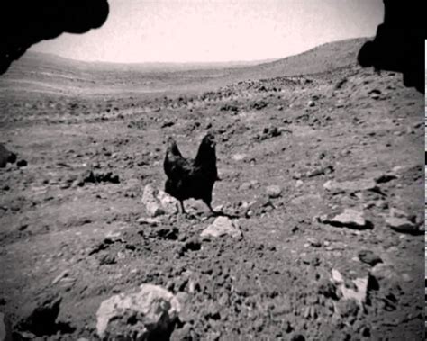 LEAKED 2013 NASA footage by Curiosity rover displaying life form on ...