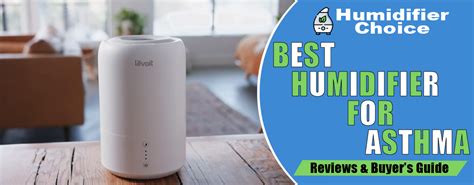 8 Best Humidifiers For Asthma In 2024 - Humidifier Choice