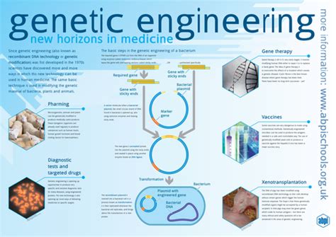 Genetic engineering by abpischools - Teaching Resources - Tes