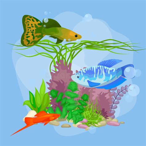 Underwater Vector World Background with Fish, Seaweed and Bubbles Stock Vector - Illustration of ...