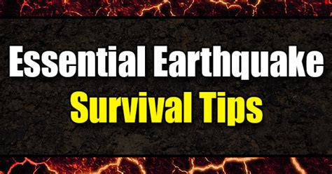 Essential Earthquake Survival Tips - Easy Balcony Gardening