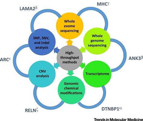 Molecular Risk Factors for Schizophrenia: Trends in Molecular Medicine