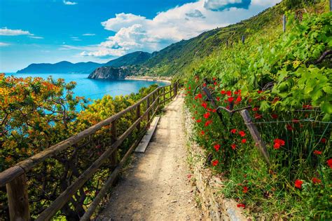 2021 Cinque Terre Hiking Trails - Parker Villas