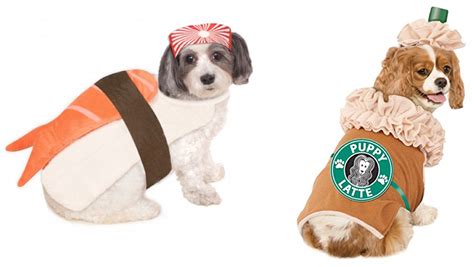 Ruff Draft: Adorable Pet Costumes for your Puppies & Kittens Halloween ...