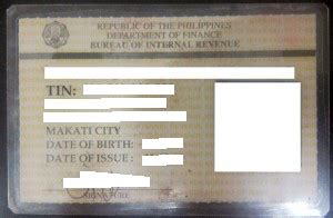 How To Get A Digitized Taxpayer Identification Number (TIN) ID ~ iFranchise.ph