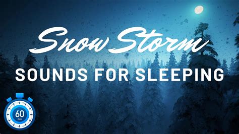 Snow Storm Sounds for Sleeping | 60 Minutes - YouTube