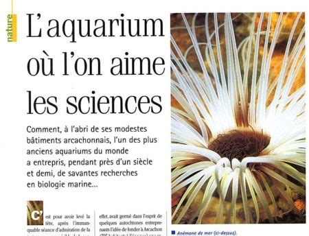 Arcachon : un aquarium où l’on aime les sciences - Sauvons le Musée ...