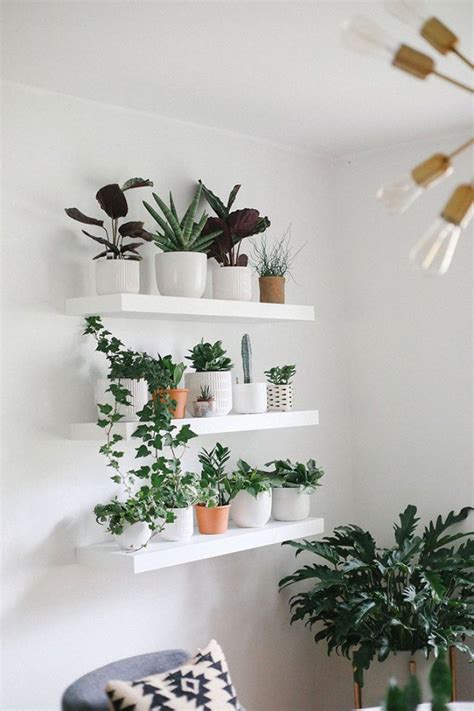 10 Tips for Plant Aesthetic in Small Space Decorating | Living room plants, Room with plants ...