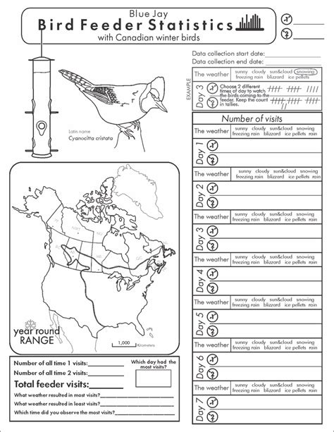 Bird Feeder Statistics worksheets – Where Exactly Maps