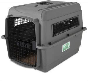 These Dog Travel Crates Are Ready to Go Wherever You Go