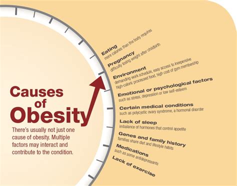 Lack Of Exercise Causes Obesity Articles – Online degrees