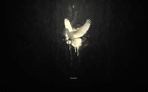 1 Peace Dove HD Wallpapers | Background Images - Wallpaper Abyss