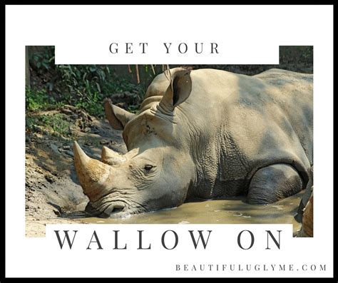 Get Your Wallow On - Beautiful. Ugly. Me.