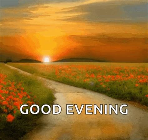 Good Evening Sunset GIF - GoodEvening Sunset Flowers - Discover & Share GIFs