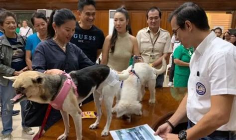 Isinusulong ngayon ni Mayor Isko Moreno ang libreng pag-aaruga ng mga ...