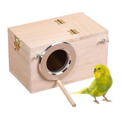 10 Best Toucan Bird Nest Boxes for Optimal Breeding Results - Hummingbirds Plus