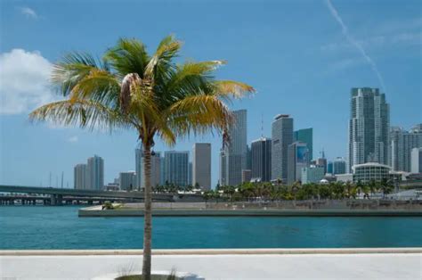 Weather Miami in July 2021: Temperature & Climate