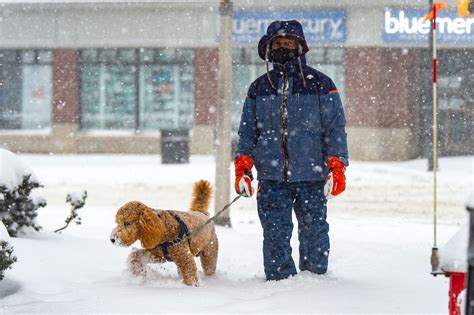 N.J. weather: Big snowstorm was a record breaker in Newark. Could it ...