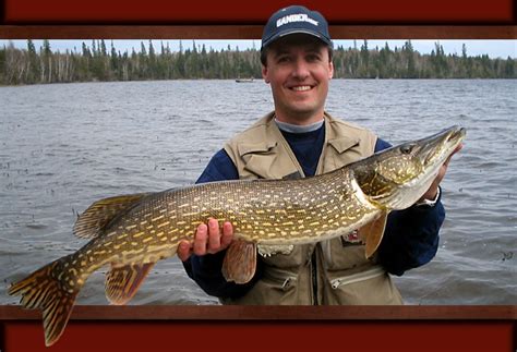 Best Pike Lures & Best Walleye Lures