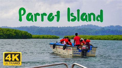 Parrot Island Baratang | Andaman & Nicobar | Mangrove Safari | Baratang Island | 4K - YouTube