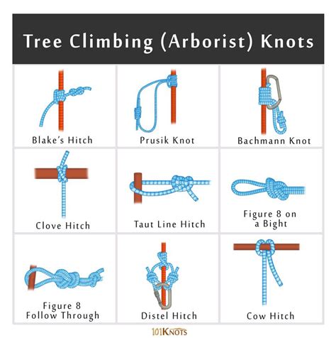 Rock and Tree Climbing Knots: Basic Guide with List | Nudos de cuerda, Nudos, Alpinismo