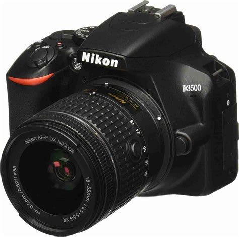 15 Best Budget Nikon Cameras | Cameras Unleashed