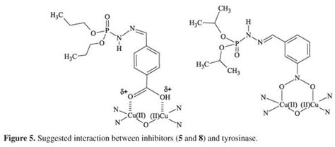 Tyrosinase - Alchetron, The Free Social Encyclopedia