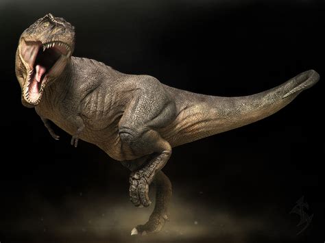 Tyrannosaurus Rex Wallpaper - WallpaperSafari