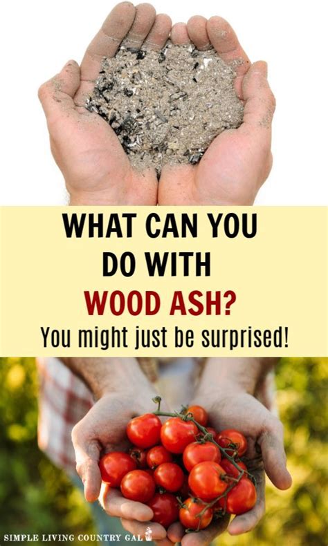 How to use wood ashes in the garden tips and precautions – Artofit