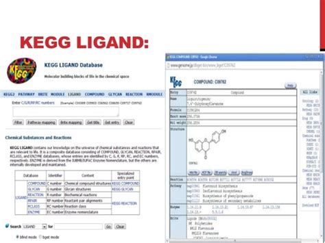 Kegg database resources